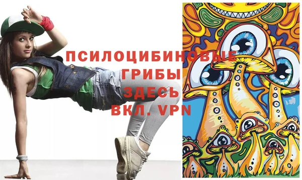 сатива Беломорск