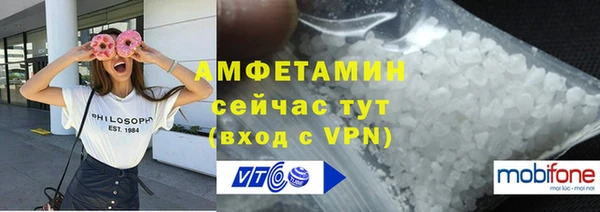 сатива Беломорск