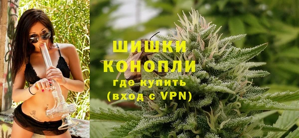 сатива Беломорск