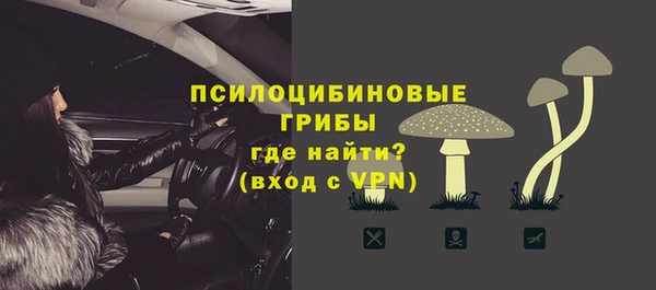 гидра Белоозёрский