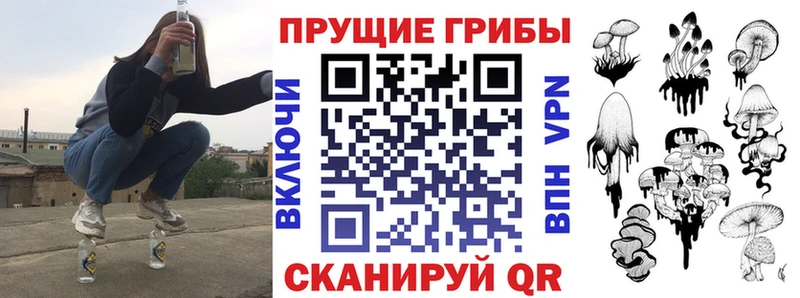 закладка  Верещагино  Галлюциногенные грибы мицелий 